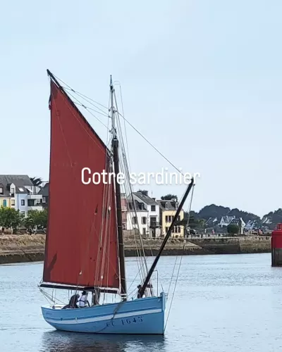 #concarneau #cotresardinier